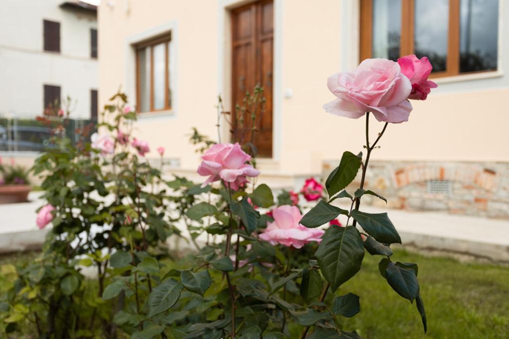 Villa Rosa Antica Lucca Bagian luar foto